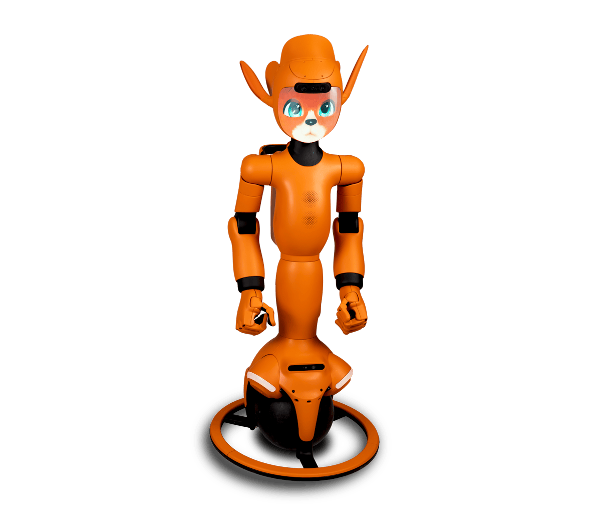 Mirokaï — Enchanted Tools robot